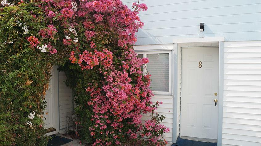 Stinson Beach Motel Екстериор снимка